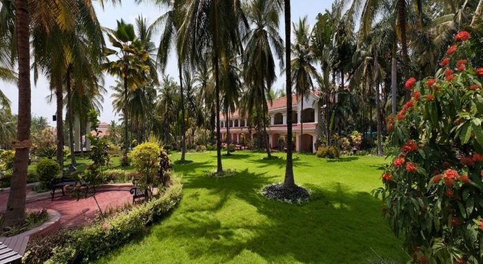 Golden Palms Hotel & Spa